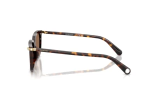 Vue latérale Swarovski SK6064D (100273)