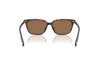 Vue arrière Swarovski SK6064D (100273)