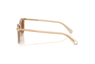 Vue latérale Swarovski SK6064D (1034OK)