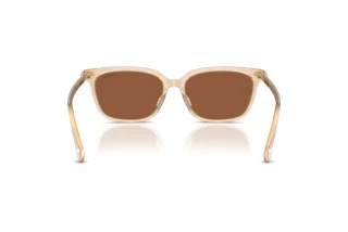 Vue arrière Swarovski SK6064D (1034OK)