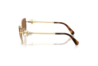 Vue latérale Swarovski SK7003 (400473)