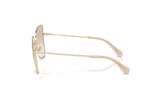 Vue latérale Swarovski SK7008 (401311)