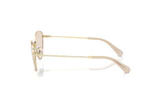 Vue latérale Swarovski SK7014 (4013M4)