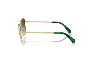 Vue latérale Swarovski SK7015 (4004E8)