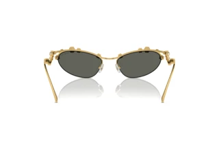 Vue arrière Swarovski SK7016 (40047P)