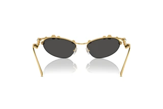 Vue arrière Swarovski SK7016 (400487)