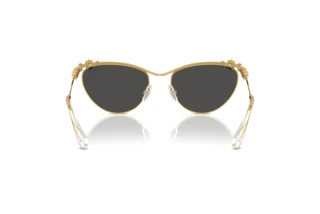 Vue arrière Swarovski SK7017 (400487)