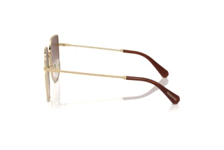 Vue latérale Swarovski SK7021D (400213)