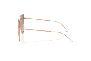 Vue latérale Swarovski SK7021D (40147N)