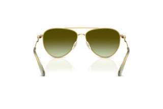 Vue arrière Swarovski SK7031 (4017E8)