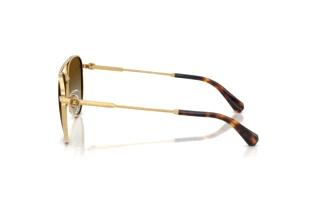 Vue latérale Swarovski SK7031 (4037T5)