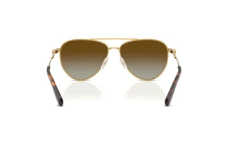 Vue arrière Swarovski SK7031 (4037T5)