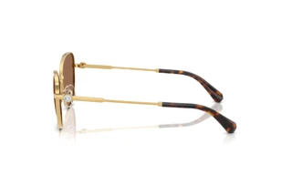 Vue latérale Swarovski SK7032 (400473)