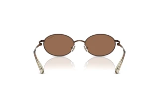 Vue arrière Swarovski SK7033 (400273)