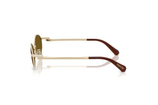 Vue latérale Swarovski SK7033 (404673)