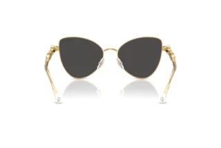 Vue arrière Swarovski SK7034 (404M87)