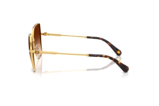 Vue latérale Swarovski SK7037 (400774)