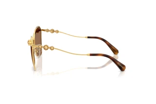 Vue latérale Swarovski SK7040 (4007TO)