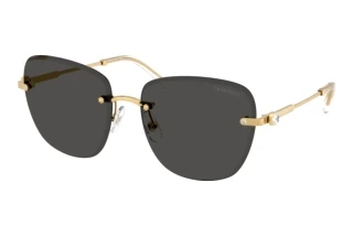 Vue de face Swarovski SK7043 (400487)