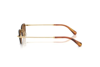 Vue latérale Swarovski SK7045D (400473)