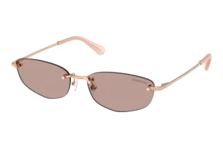 Vue de face Swarovski SK7045D (40147N)