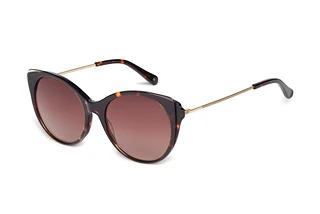 Ted Baker 1589 179 BraunVerlaufBraun