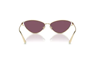 Vue arrière Tiffany TF3095 (6194AK)