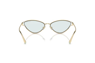 Vue arrière Tiffany TF3095 (6196MF)