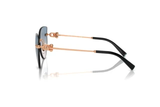 Vue latérale Tiffany TF3096 (610516)
