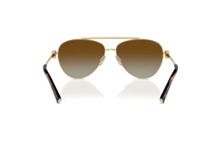 Vue arrière Tiffany TF3101B (6208T5)