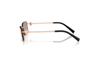 Vue latérale Tiffany TF3108B (61051T)