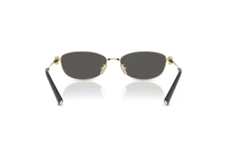 Vue arrière Tiffany TF3115 (6021S4)