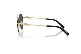 Vue latérale Tiffany TF3116 (6021S4)