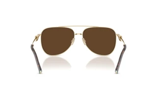 Vue arrière Tiffany TF3116 (61933G)