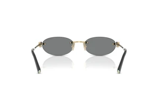 Vue arrière Tiffany TF3119D (602187)