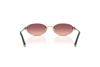 Vue arrière Tiffany TF3119D (62408D)