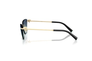 Vue latérale Tiffany TF3120 (60219S)