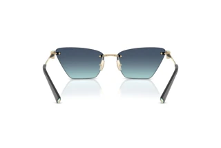 Vue arrière Tiffany TF3120 (60219S)