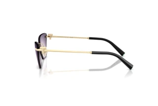 Vue latérale Tiffany TF3120 (62438H)