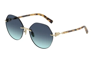 Vue de face Tiffany TF3123 (60219S)