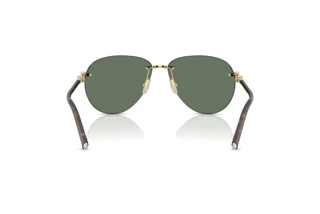 Vue arrière Tiffany TF3124 (60213H)