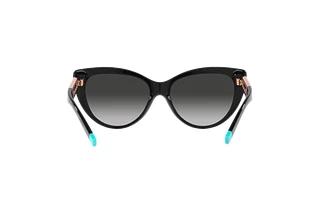 Vue arrière Tiffany TF4196 (80013C)