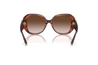 Vue arrière Tiffany TF4207B (80023B)