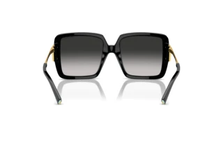 Vue arrière Tiffany TF4212U (80013C)