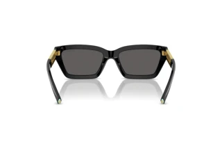 Vue arrière Tiffany TF4213 (8001S4)