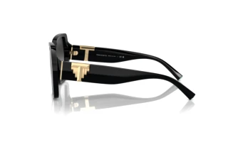 Vue latérale Tiffany TF4219 (80013C)