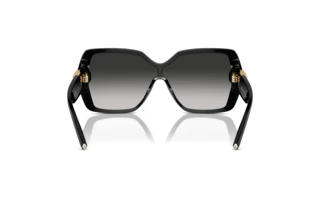 Vue arrière Tiffany TF4219 (80013C)