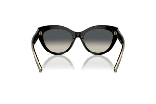 Vue arrière Tiffany TF4220 (800171)