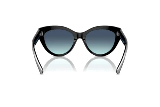 Vue arrière Tiffany TF4220 (80019S)