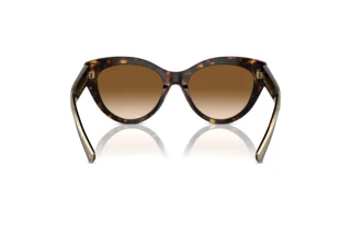 Vue arrière Tiffany TF4220 (801551)